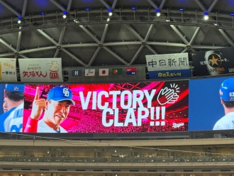 プロ野球観戦